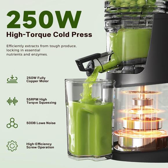 Cold Press Juicer,Slow Masticating Juicer Machines with 5.3" Large Feed Chute... - Picture 4 of 9